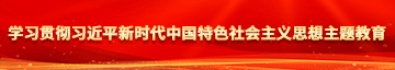 鸡把插进逼逼里在线视频学习贯彻习近平新时代中国特色社会主义思想主题教育